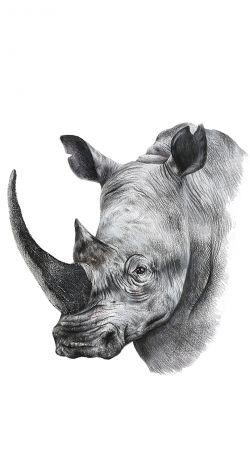 Coque Rhino Shield Art - originale