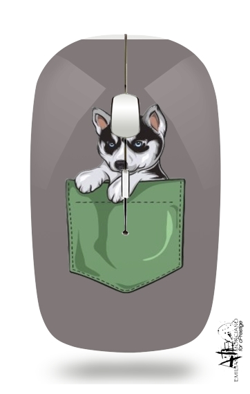 Souris Husky Dog in the pocket