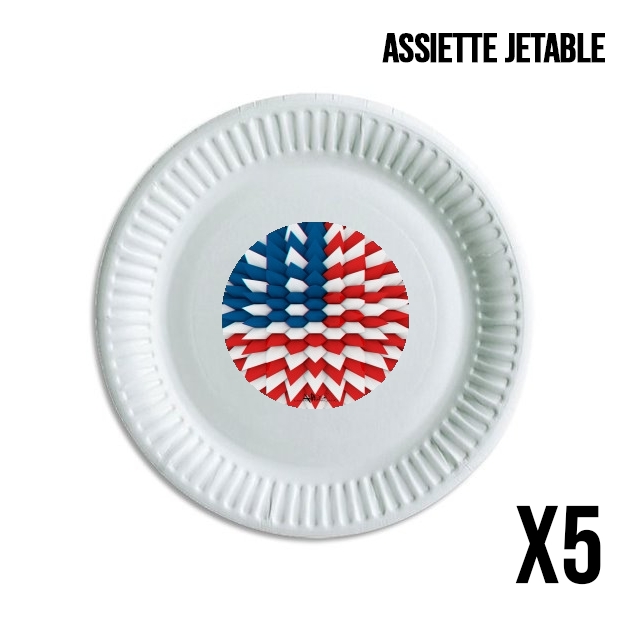 Assiette 3D Poly USA flag