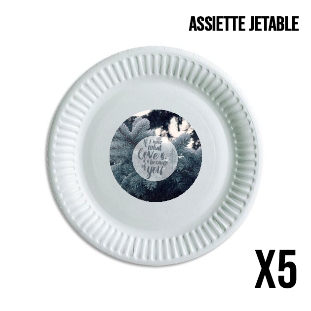 Assiette Because of You