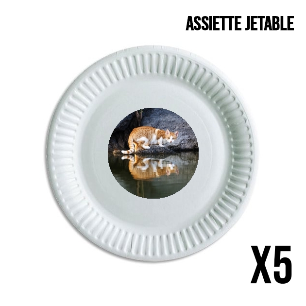 Assiette  Reflet chat dans l'eau d'un étang 