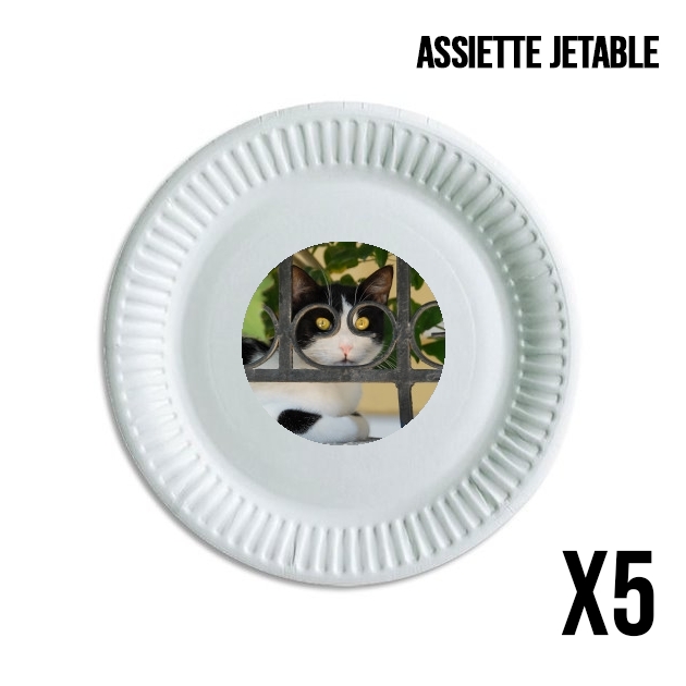 Assiette chat avec montures de lunettes, elle voit par la clôture en fer forgé