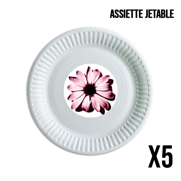 Assiette Daisy Burgundy