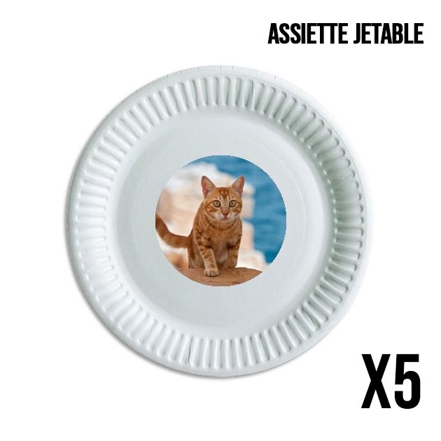 Assiette Chaton marbré rouge sur une falaise