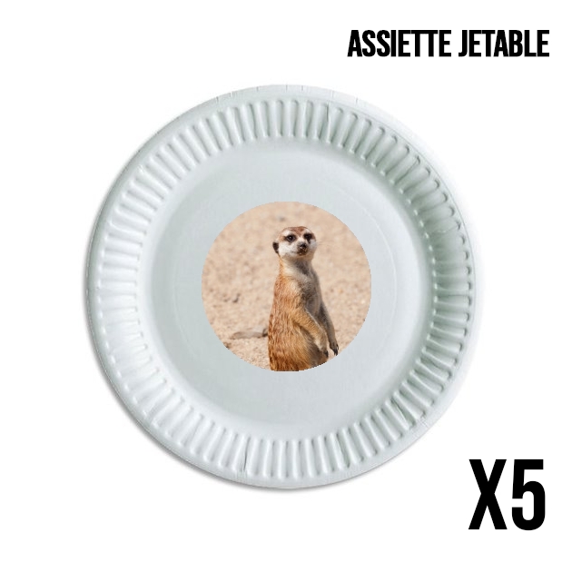 Assiette Meerkat