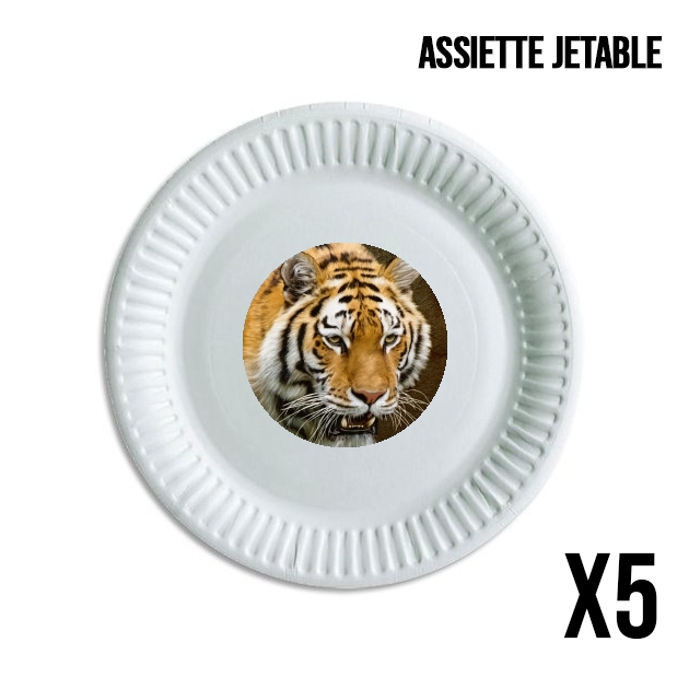 Assiette Siberian tiger