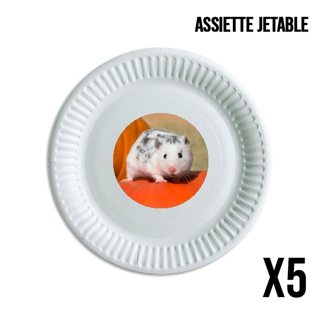 Assiette Hamster dalmatien blanc tacheté de noir