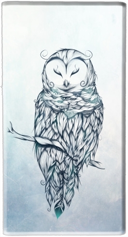Batterie Snow Owl