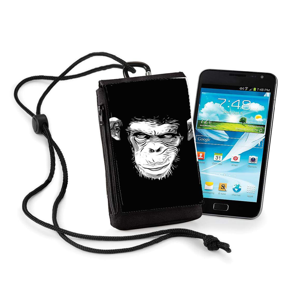 Pochette Evil Monkey