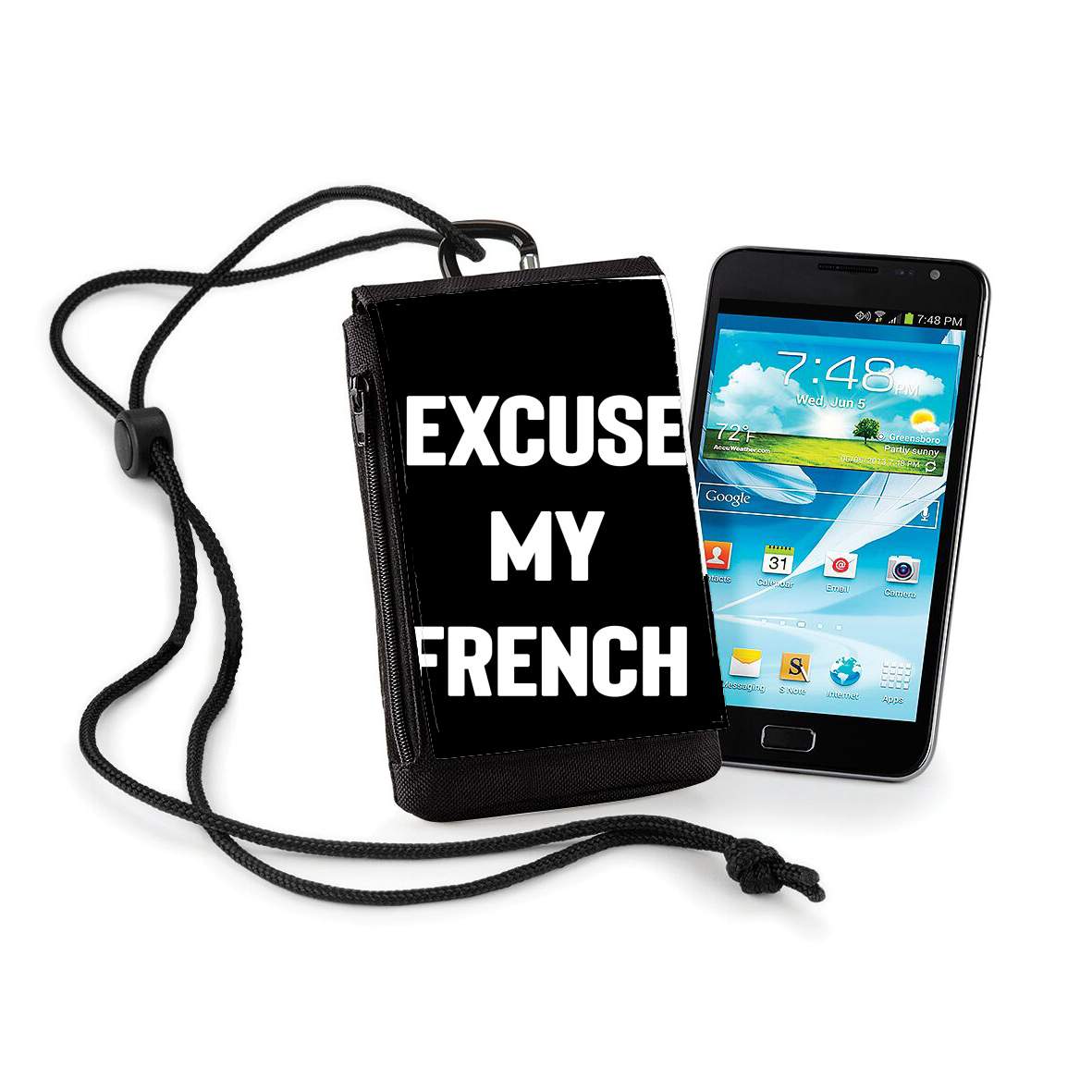 Pochette Excuse my french